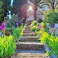 Heavenly Stairway